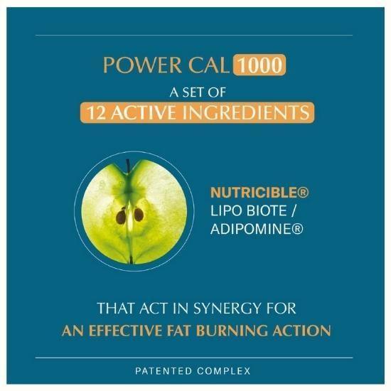 POWER CAL 1000 By Clemascience 2X - belteleachat