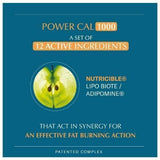 POWER CAL 1000 by Clemascience - belteleachat